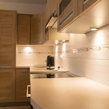 Apartament Na Urlop - Centrum - Przy Amfiteatrze - 500M Do Basenow Wisla Exterior photo